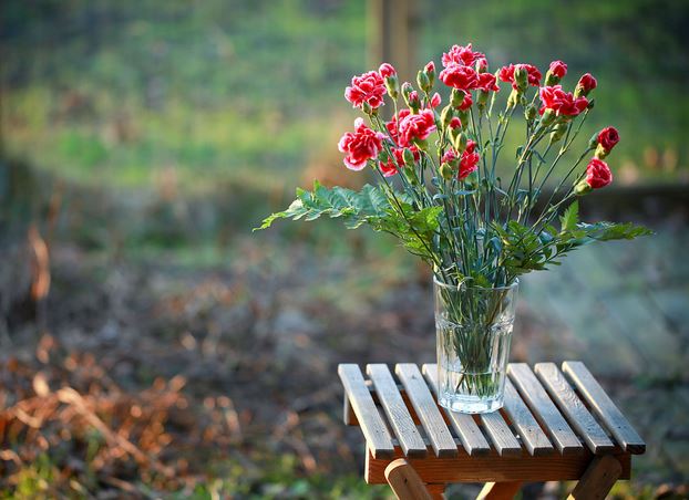 ����ܰ�Ĺ�Ч�����ü����� ���Կ���ܰ��ô����Խ��Խ��