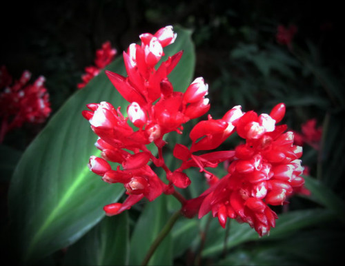 �ϱ����󿪻���ʲôʱ�򿪻� �ϱ�������ʲôԢ����