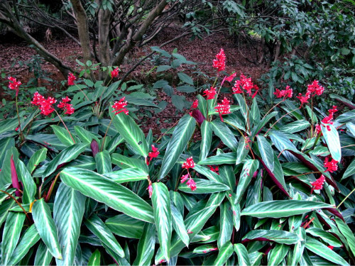 �ϱ����󿪻���ʲôʱ�򿪻� �ϱ�������ʲôԢ����