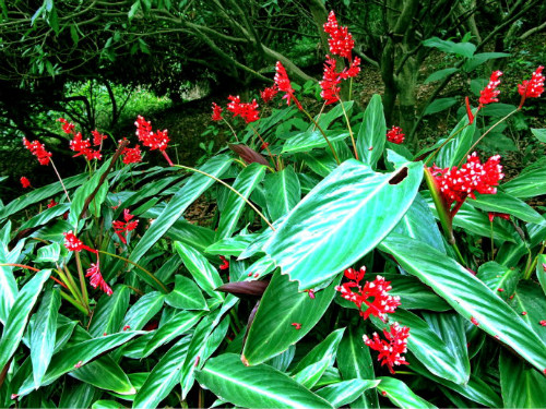 �ϱ����󿪻���ʲôʱ�򿪻� �ϱ�������ʲôԢ����