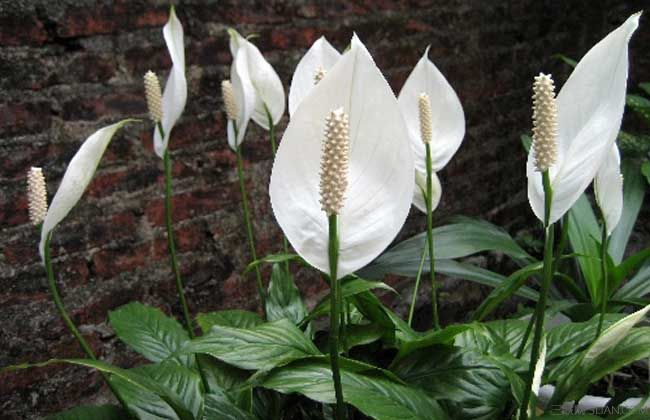 һ����˳ʲôʱ�򿪻�����ô���ſ�����һ����˳������ԭ�����