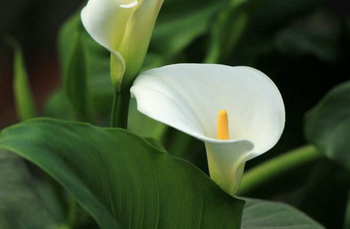 һ����˳ʲôʱ�򿪻�����ô���ſ�����һ����˳������ԭ�����