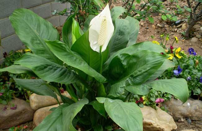 һ����˳ʲôʱ�򿪻�����ô���ſ�����һ����˳������ԭ�����