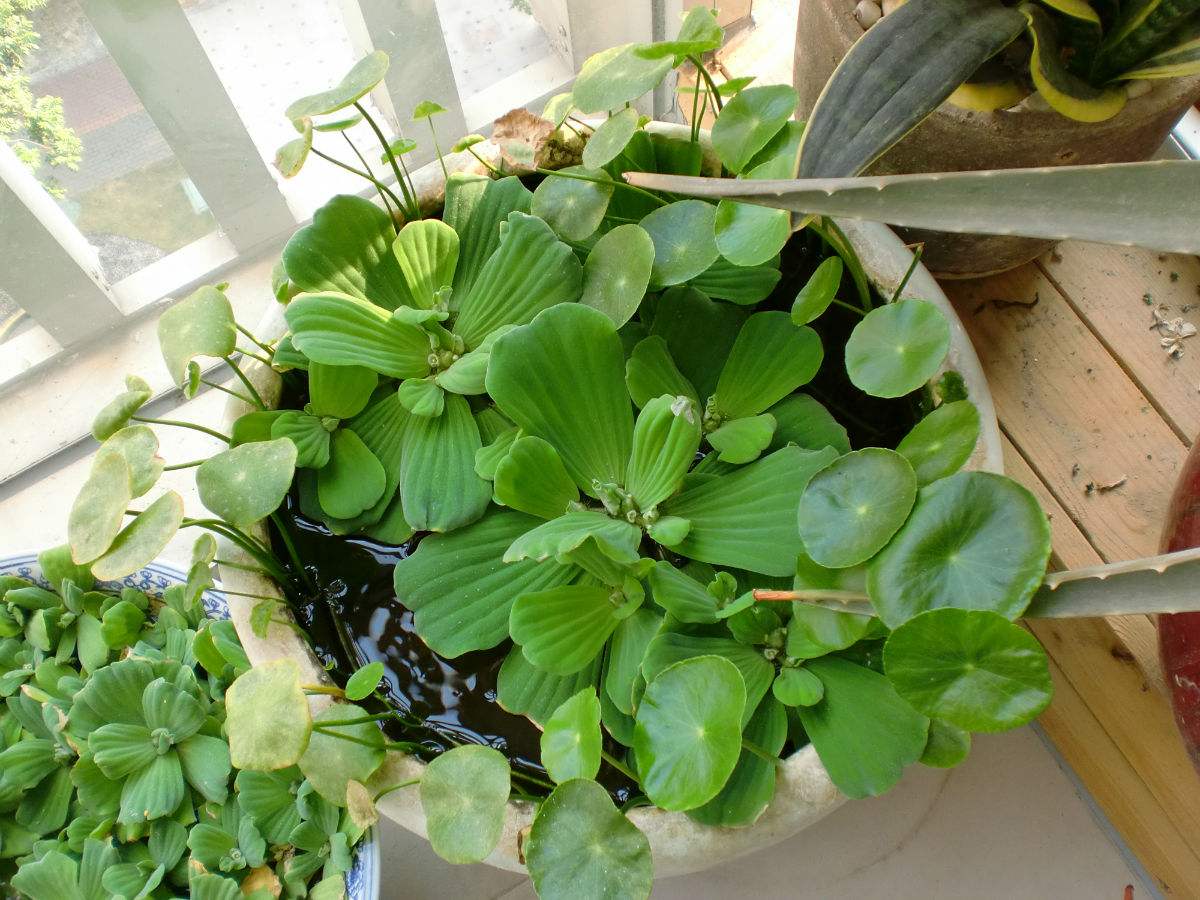 ���ҽ���ʲôʱ��Ǥ�壿��ôǤ�壿���ҽ���Ǥ�巽��ͼ��