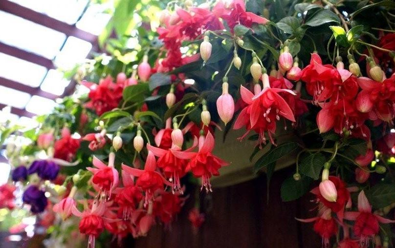 ���ҽ���ʲôʱ��Ǥ�壿��ôǤ�壿���ҽ���Ǥ�巽��ͼ��