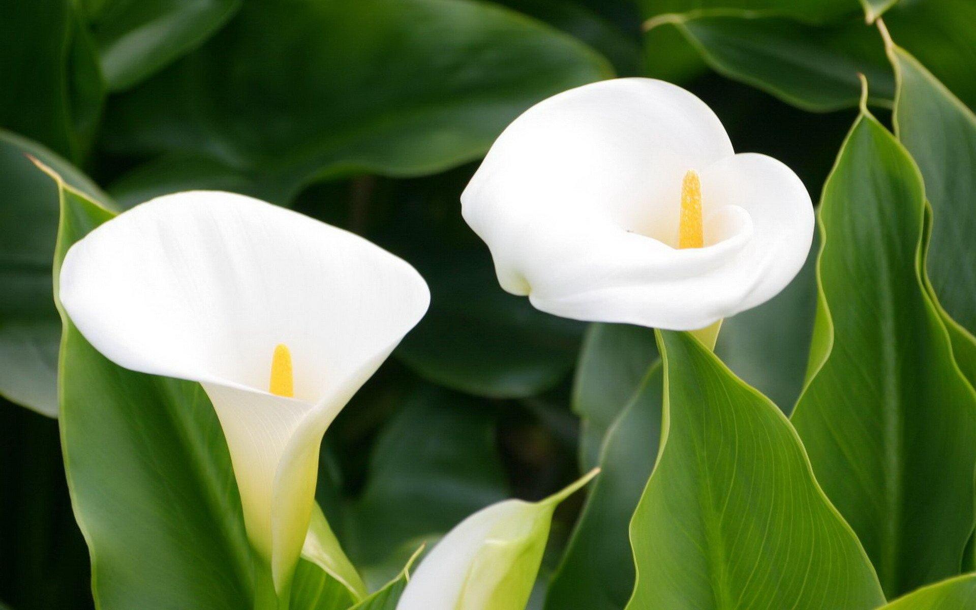 ������ô�� ��С������㺣�����ֳ������ע������