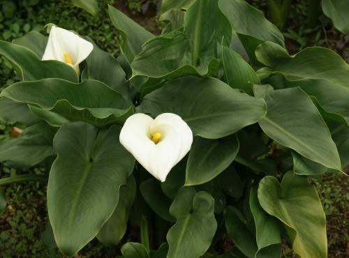 ����Ҷ���´������ô�� �⼸�����μ�����һ��Ҫ֪��