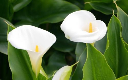 ����Ҷ���´������ô�� �⼸�����μ�����һ��Ҫ֪��