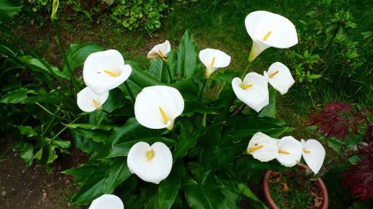 ����Ҷ���´������ô�� �⼸�����μ�����һ��Ҫ֪��