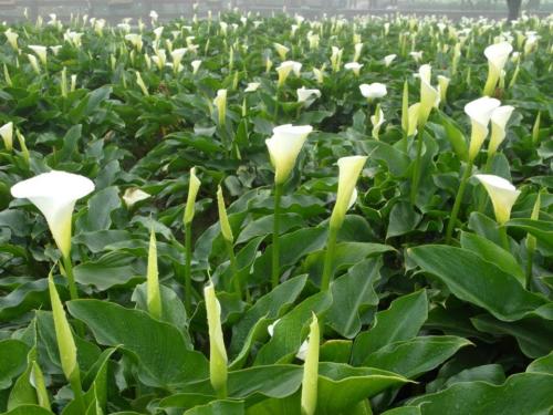 ����Ҷ���´������ô�� �⼸�����μ�����һ��Ҫ֪��