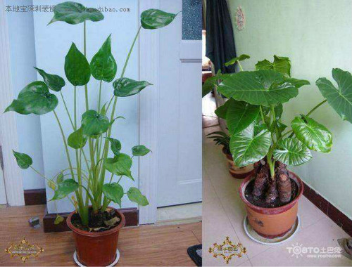 ��ˮ����������ô����ν�ˮ  ��ˮ��������������ʩ����