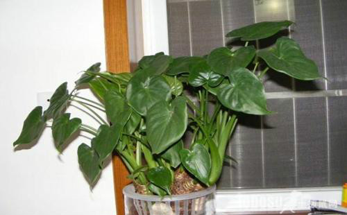 ��ˮ����������ô����ν�ˮ  ��ˮ��������������ʩ����