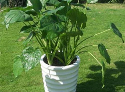 ��ˮ����������ô����ν�ˮ  ��ˮ��������������ʩ����