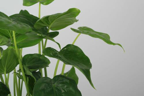 ��ˮ����������ô����ν�ˮ  ��ˮ��������������ʩ����