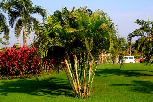 ɢβ����������ô���Ż᳤�� ������ɢβ����ֳ������ע������