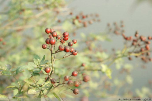 Ǿޱ��������ô��ֲ���׷�ѿ Ǿޱ���Ӵ�ѿ��������