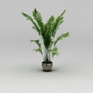 ɢβ����ô�޼������޼��������� ɢβ����ô�޼��ܳ���ͼ