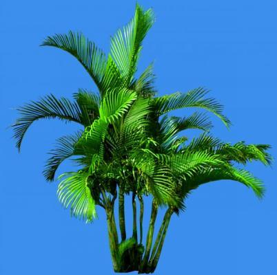 ɢβ��������������ô���� ɢβ���������������������