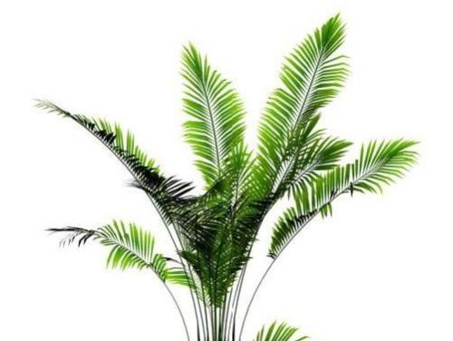 ɢβ����ô������Ҫʲô���� ɢβ���������������һ��û��