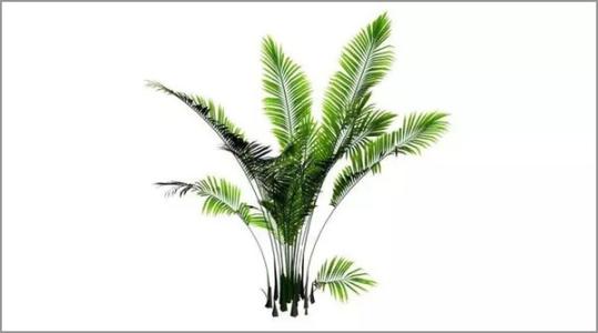 ɢβ����ô������Ҫʲô���� ɢβ���������������һ��û��