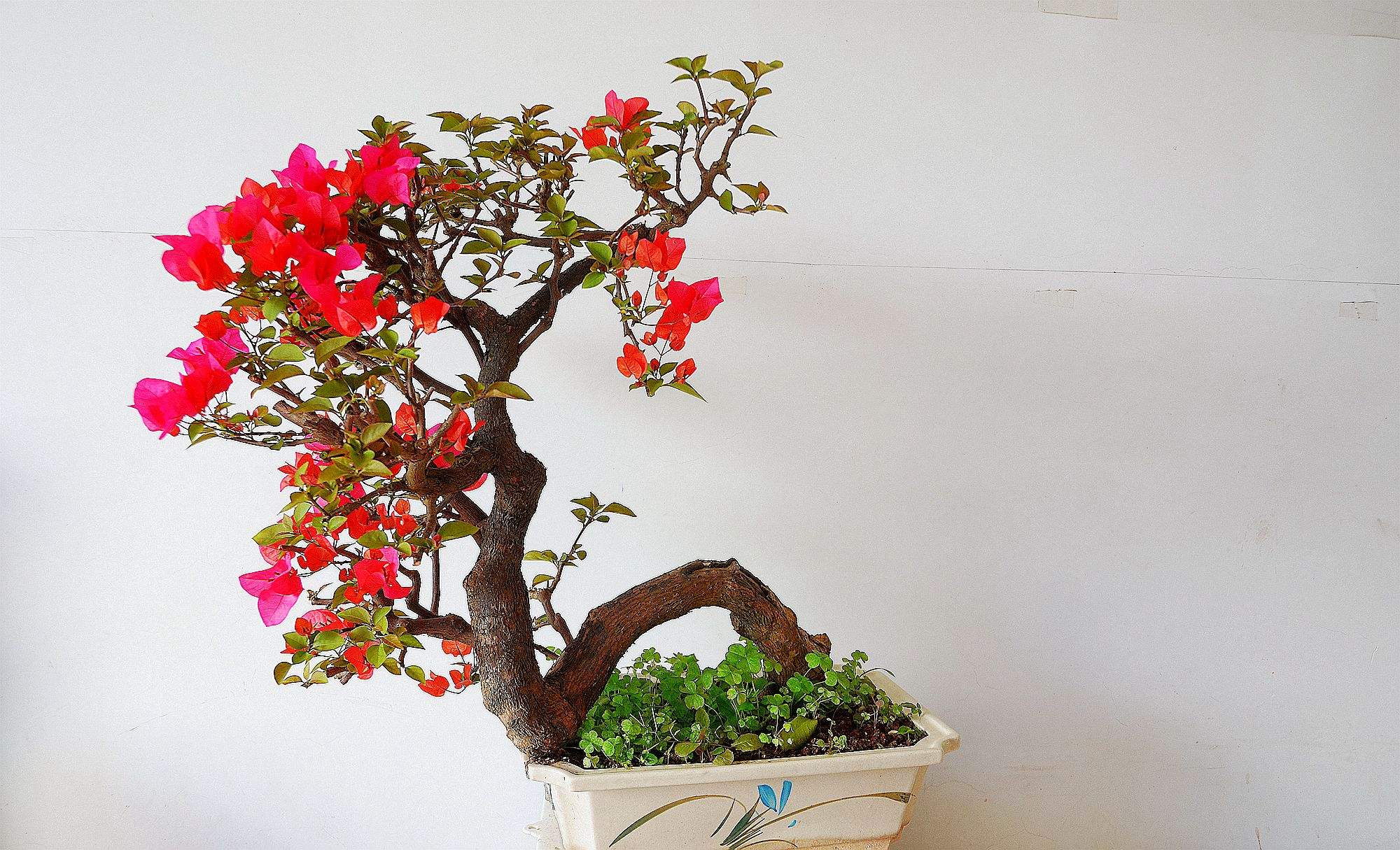 ����÷�����෽����ע������ ����÷�������������Ų�����