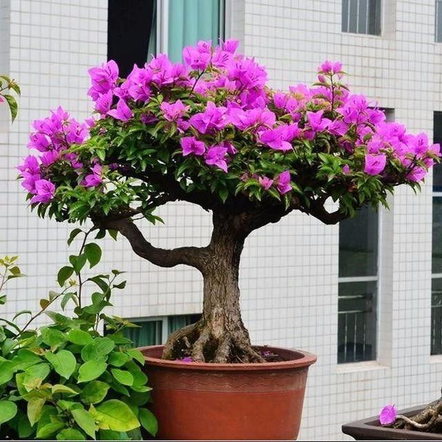 ����÷�����෽����ע������ ����÷�������������Ų�����