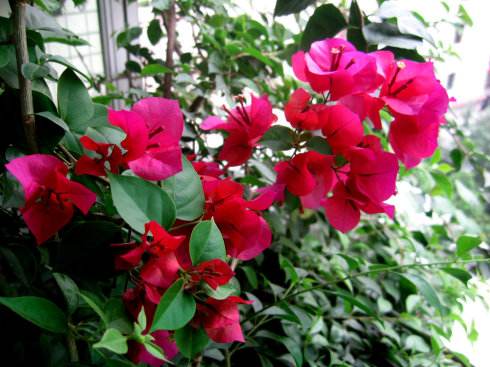 ����÷�������������ȣ������⼸�����������������÷�࿪��