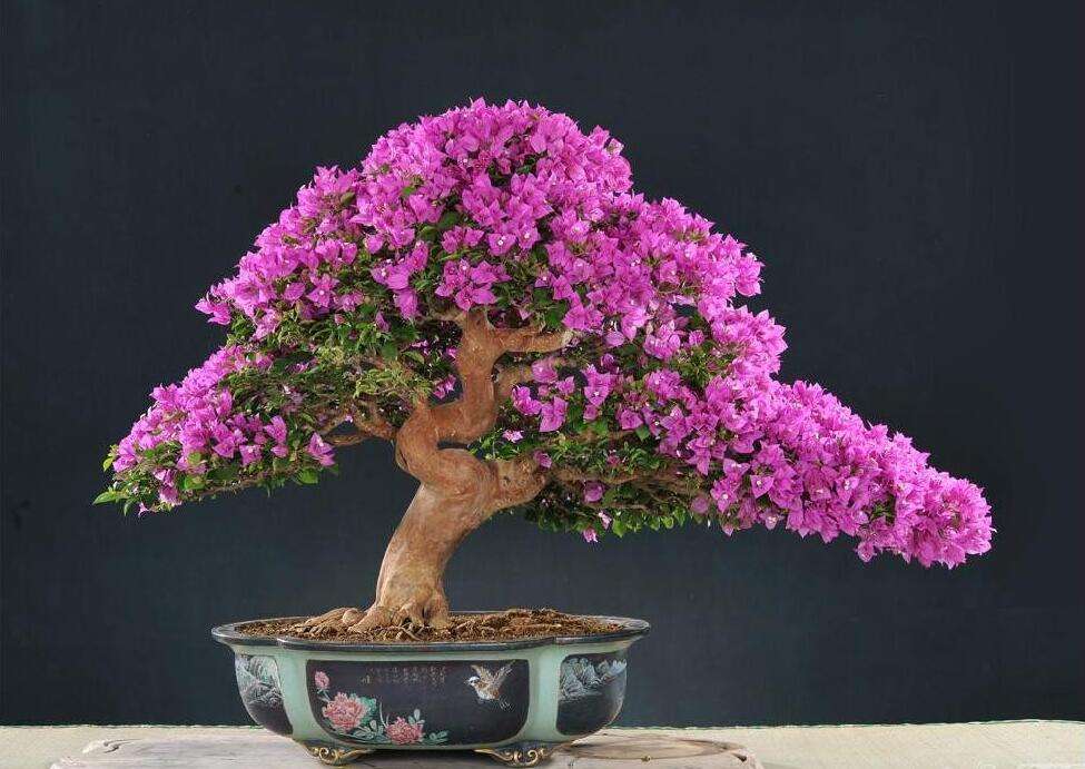 ����÷�������������ȣ������⼸�����������������÷�࿪��