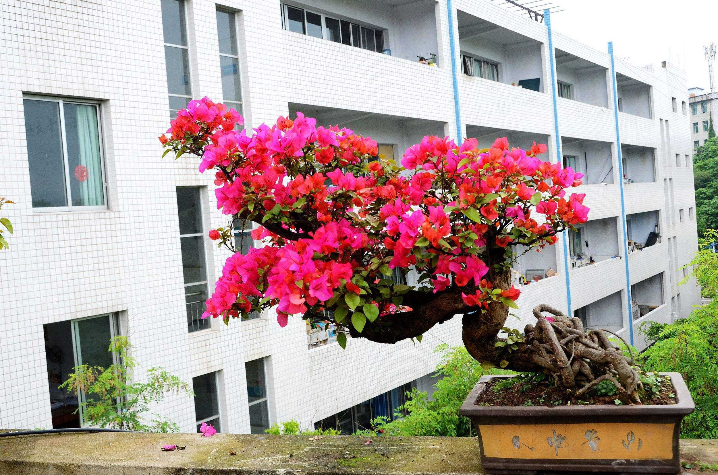 ����÷�������������ȣ������⼸�����������������÷�࿪��