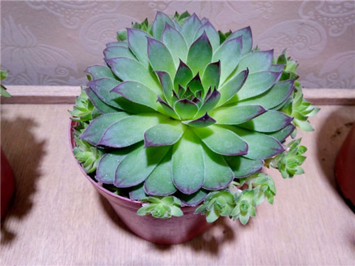 �������ж����ʺϷ�����������������ԭ������ô��ô�