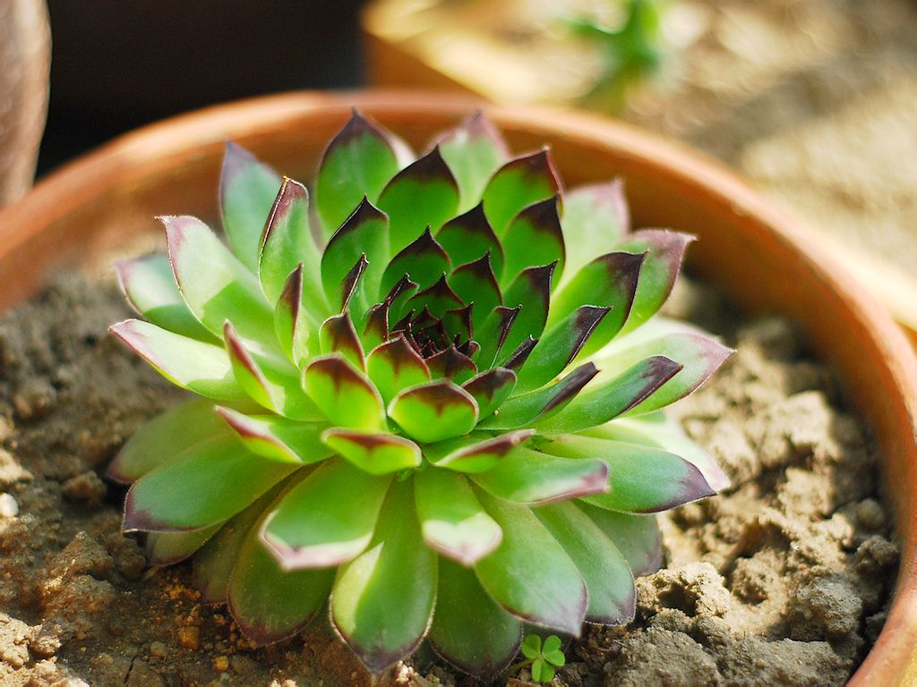 �������ж����ʺϷ�����������������ԭ������ô��ô�