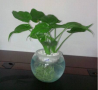 ˮ��ǧ�ֹ�����ô��ֳ ǧ�ֹ���ˮ��ע��������һ��Ҫ��