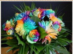 七色堇的花语是什么 七色堇真的存在吗传说真相揭秘