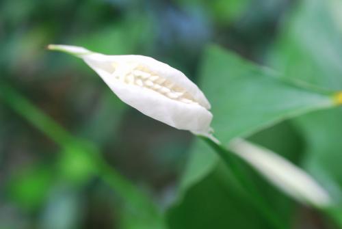 ���ƶ�����ô�����ᶳ���� ���ƶ��������ô����֤�����ɹ���