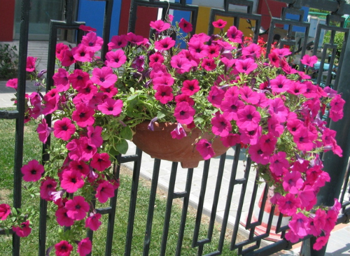 ǣţʲôʱǤöǤ ǣţôǤ巽ͼ