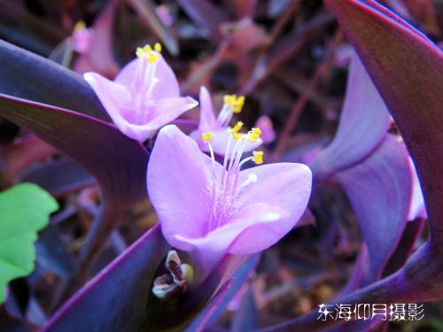 ����÷������������ ����÷��������������Ȼ����ô��