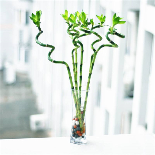 ��������ô�������������������� �㲻�ò�֪���ĸ���������С����