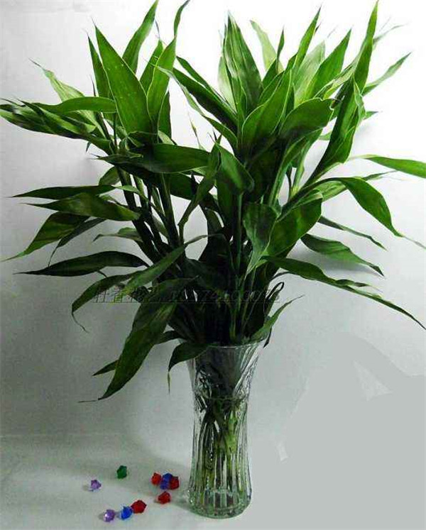 ��������ô�������������������� �㲻�ò�֪���ĸ���������С����