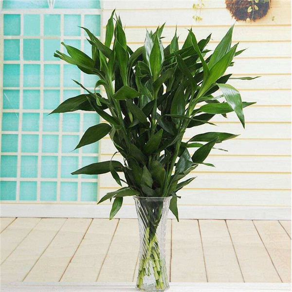 ��������ô�������������������� �㲻�ò�֪���ĸ���������С����