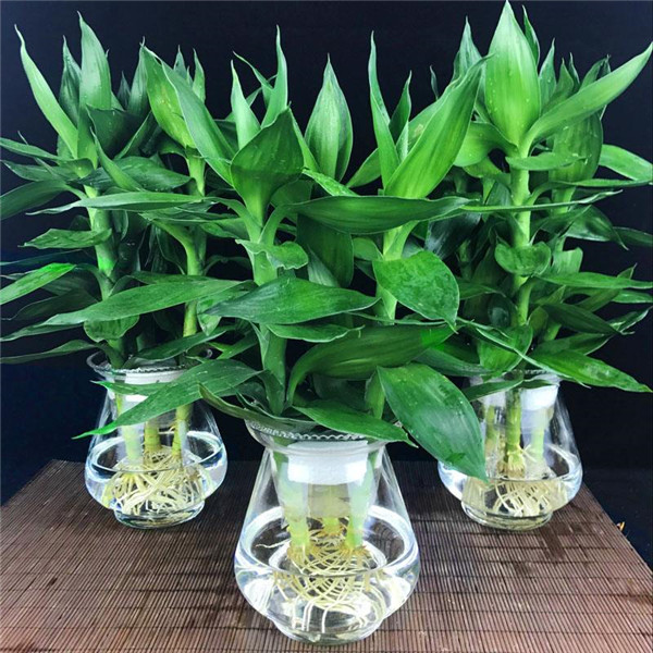 ��������ô�������������������� �㲻�ò�֪���ĸ���������С����