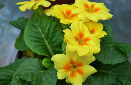 ��������ô��������ʢ  ����������ֳ������ע���������