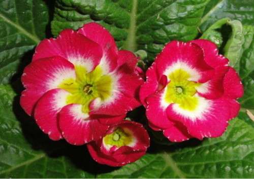 ��������ô��������ʢ  ����������ֳ������ע���������