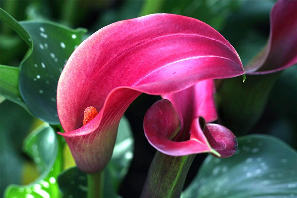 �������ж�����Է��������� �������ķ�ˮ���ü��ڷ�λ��