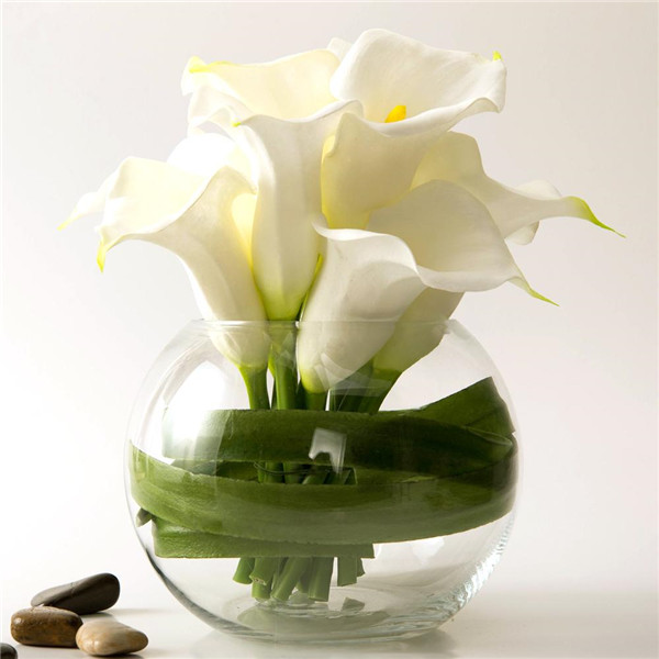 马蹄莲冬天怎么养不会死 你不得不知道的冬季家庭养殖马蒂莲的方法