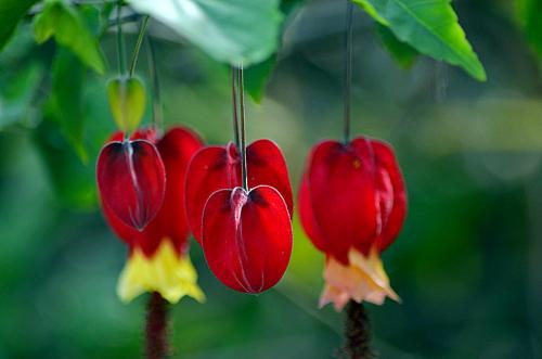 ����������ֳ������ע����������Щ ����������ֳС������֪����