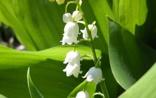 ��������ô��  ����������ֳ������ע�������뿴�������û��