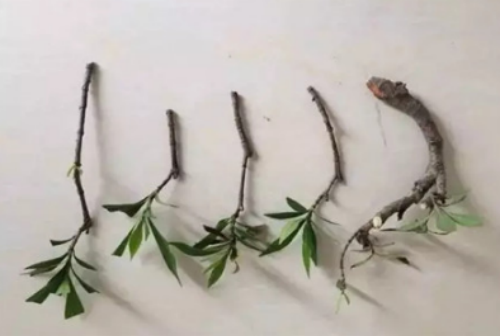 ���ӻ���ôǤ�巽����ͼ��  ���ӻ�Ǥ�����ñ�ʱ���������