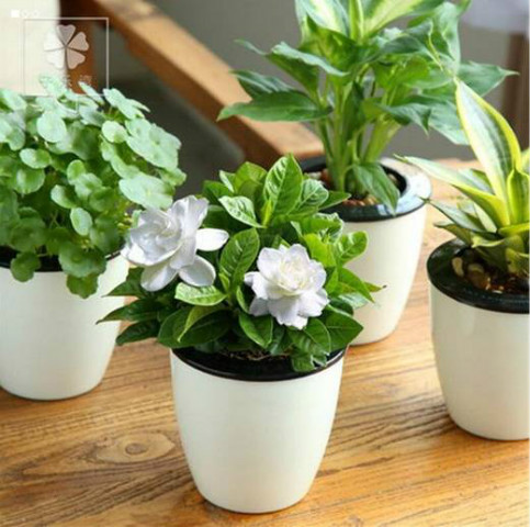 ���ӻ���ô����ͥ���� ���ӻ���ֳ������ע����������������