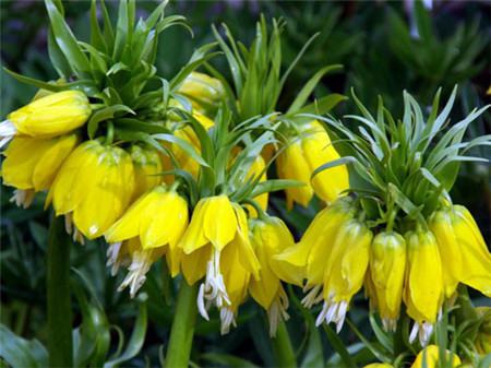 ����ĸ���ڽ���ʲôʱ�򿪻� ����ĸ�����������ֶ��ֺ�