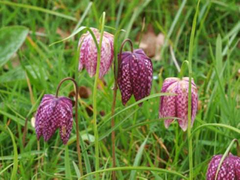 ����ĸ���ڽ���ʲôʱ�򿪻� ����ĸ�����������ֶ��ֺ�